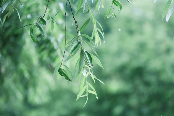 天蠍座的最大性格缺陷_周公解夢