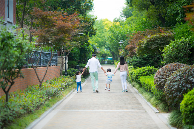 生肖牛2024年是否會有健康隱患?