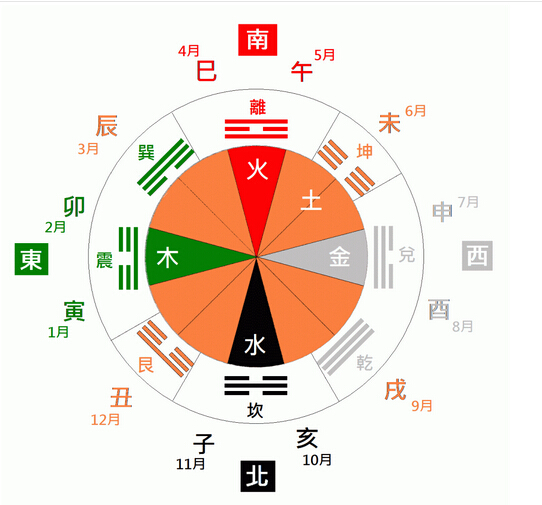 生肖豬的五行性格分析